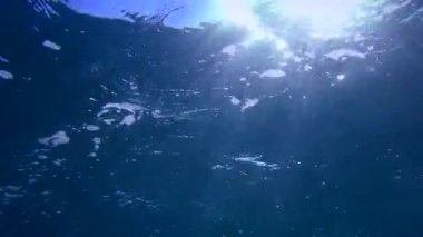 Güneş ışınları dalgalanan su yüzeyinden su kolonuna nüfuz eder..