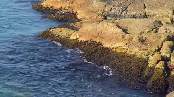 シースケープ 海の波スネーク島の海岸崖を洗う ウクライナ — ストック動画