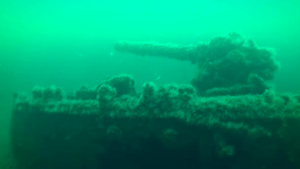 スネーク島でのダイビング 軍の沈没船の大砲と一部 第一次世界大戦勃発 島内には約10のダイビングスポットがあります ウクライナ — ストック動画