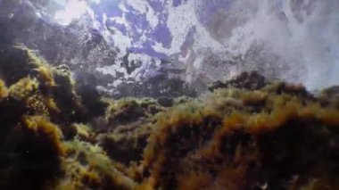 Sualtı kayalıklarının yakınındaki gelgit dalgaları ve güneş ışınları..