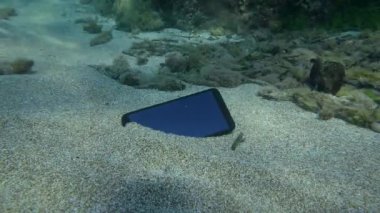 A lost smartphone on a sandy bottom, an Annular seabream fish swims past.