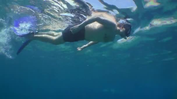 Snorkeling Seorang Pemuda Bertopeng Bawah Air Berenang Permukaan Air Kemudian — Stok Video