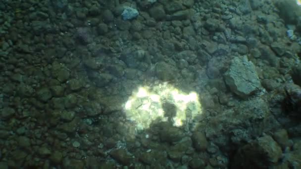 Sluneční Paprsky Pronikající Otvorem Stropě Jeskyně Vytvářejí Pulzující Světelné Místo — Stock video