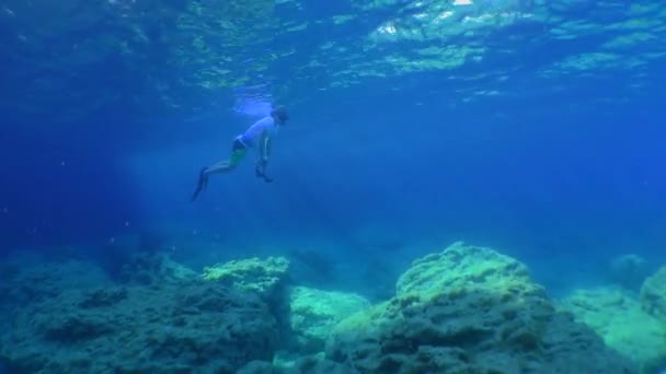 Freediver Camera Water Column Background Oblique Sunlight Indicates Interesting Object — Stok video