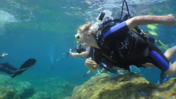 Formation Plongée Groupe Jeunes Élèves Plongeurs Suivent Instructeur Lors Leur — Video