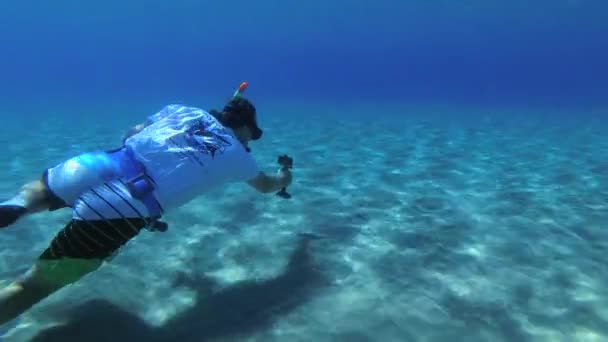 Freediver Action Camera Filming Fish Sandy Bottom — Stock Video