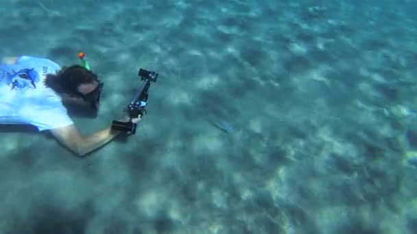 Фридайвер Видеокамерой Снимает Рыбу Песчаном Дне Вид Сверху — стоковое видео