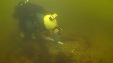 Underwater archaeological research: A research diver examines a structural element of an 18th century wooden ship sunk in a river.