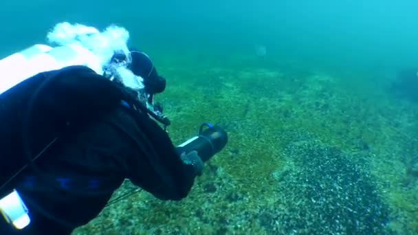 Diver Underwater Scooter Swims Sea Bottom Medium Shot — Stock video