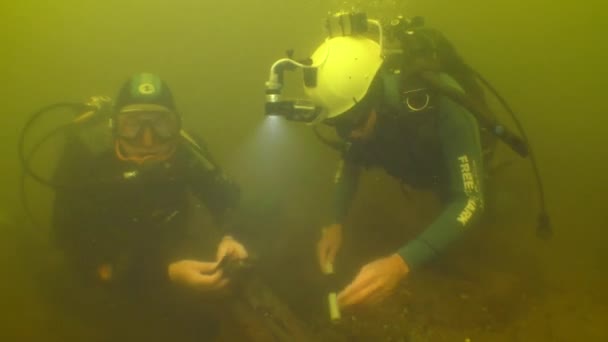Underwater Archaeological Research Scientist Diver Demonstrates Wooden Fasteners Found 18Th — ストック動画