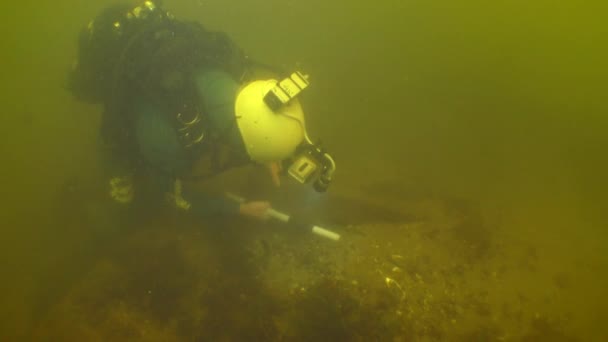 水中考古学研究 18世紀の木造船が川に沈められた構造要素を調査する研究ダイバー — ストック動画