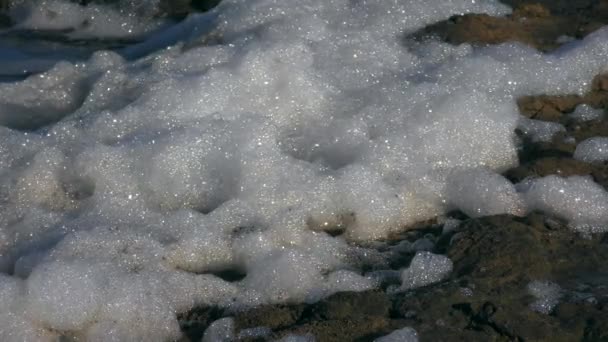 Abundant Foam Shore Reservoir Signals Presence Large Amount Organic Matter — Stockvideo