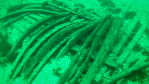 スネーク島でのダイビング カメラはフレームの木製の断片にゆっくりと低下します 18世紀の商船の難破船 ウクライナ — ストック動画