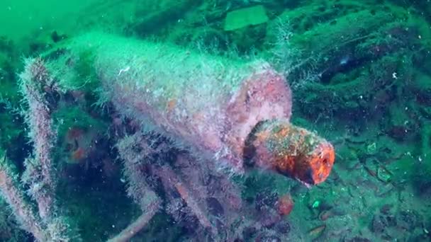 スネーク島でのダイビング マキシムの機銃海底で クローズアップ 第一次世界大戦の難破船 ウクライナ — ストック動画