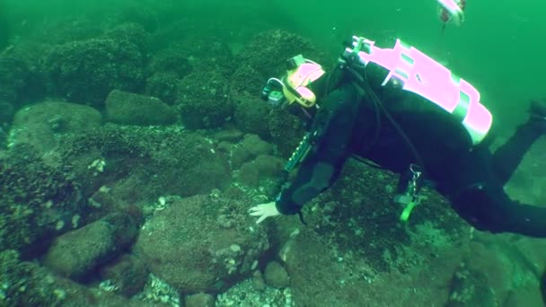 Víz Alatti Régészeti Kutatás Egy Búvár Fémdetektorral Feltárja Tengerfeneket Kövek — Stock videók
