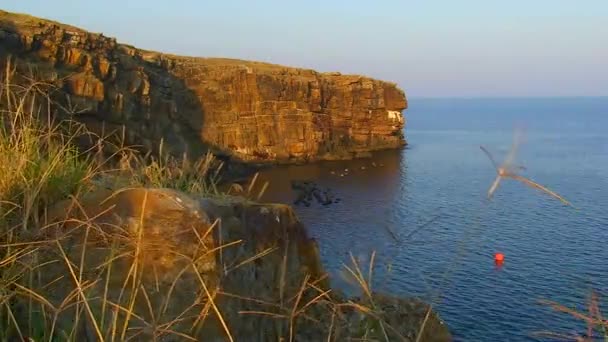 蛇岛的岩石景 背靠大海 夕阳西下的灯光 乌克兰 — 图库视频影像