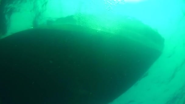 Skeleye Yakın Bir Deniz Gemisi Aşağıdan Görünüyor Karadeniz Yeşil Dalgalı — Stok video