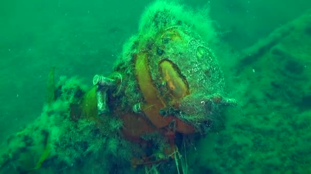 在蛇岛潜水 相机慢慢地打开鱼雷管的军事残骸 第一次世界大战的沉船事件 乌克兰 — 图库视频影像