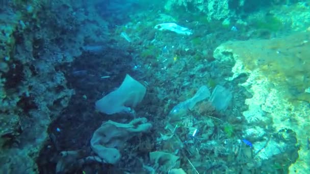 Zanieczyszczenie Tworzyw Sztucznych Fale Morskie Prądy Zbierają Naturalne Zanieczyszczenia Odpady — Wideo stockowe