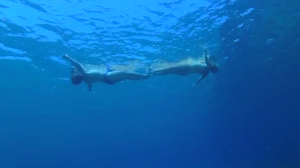 Hombre Una Mujer Nadan Superficie Del Mar Formando Una Figura — Vídeos de Stock