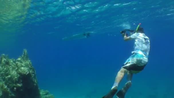 Plongeur Avec Une Caméra Filme Tableau Sup Près Une Falaise — Video