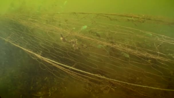 Zanieczyszczenie Wody Kamera Porusza Się Powoli Wzdłuż Zaginionej Sieci Rybackiej — Wideo stockowe