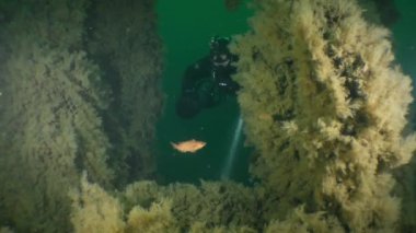 Enkaz dalışı: teknik bir dalgıç batık bir denizaltının açık kapağına yaklaşıyor.