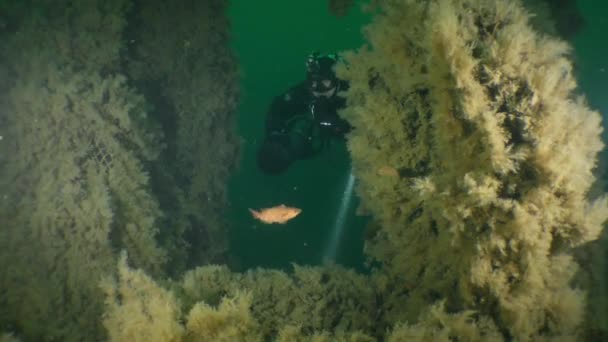 Vrak Potápění Technický Potápěč Blíží Otevřenému Průlezu Potopené Ponorky — Stock video