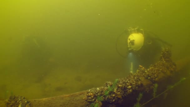 水中考古学研究 ダイバーは川の底に横たわっている18世紀の木製の容器の側面を調べ カメラはゆっくりと彼の周りを移動します — ストック動画