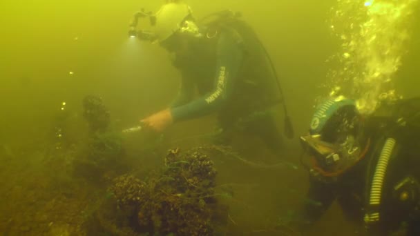 水中考古学研究 2人のダイバーが川の底に横たわっている18世紀の木製の船の側面を探索します — ストック動画
