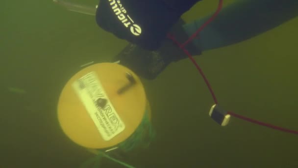 海底考古学研究 科学者のダイバーがリールからコードを巻き上げて川の底の研究場所をマークし クローズアップ — ストック動画