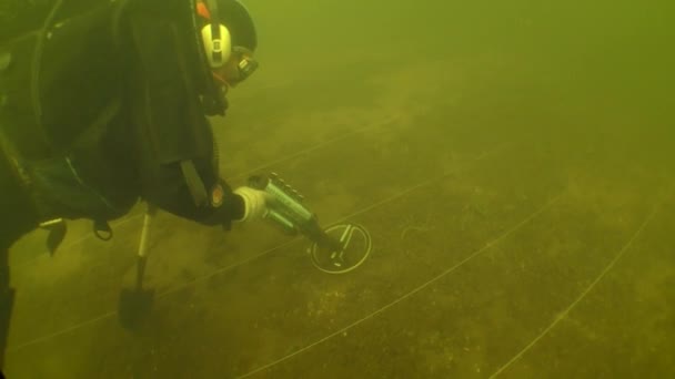 水中考古学研究 地面に隠された金属のオブジェクトを検索するには 研究サイトの下部にマークに沿って金属探知機とダイバー サイドビュー — ストック動画