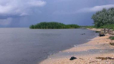 Tuna Deltası: Nehir ve denizin buluşma noktasında yaygın sazlıklar (Phragmites australis).