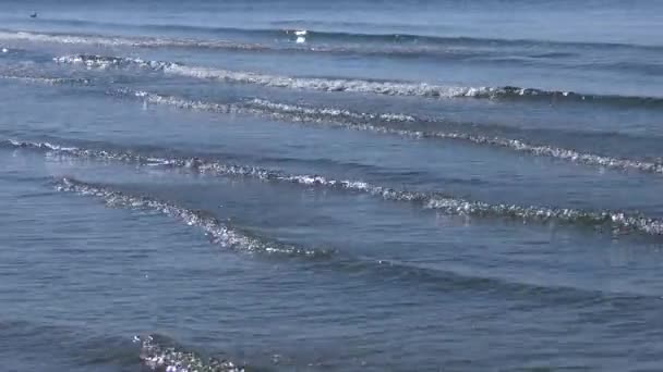 Klidné Počasí Moři Malé Vlny Valí Přes Písčité Pobřeží Úhlopříčka — Stock video
