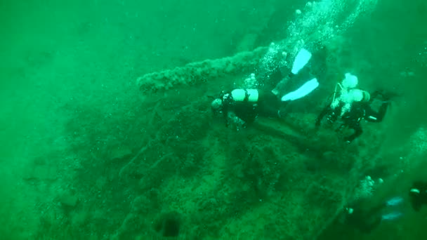 スネーク島でのダイビング ダイバーは軍の難破船の大砲の近くで泳ぐ 第一次世界大戦の難破船 ウクライナ — ストック動画