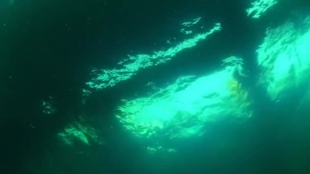 Mořské Molo Pohled Zdola Nazelenalé Vodě Pozadí Zvlněné Vodní Hladiny — Stock video