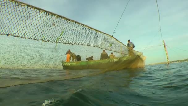 Ticari Balıkçılık Geleneksel Karadeniz Balıkçılık Sabit Ağlarla Balık Yakalamak — Stok video