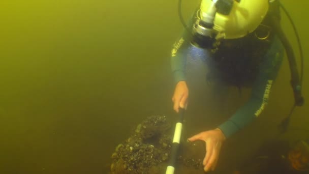 Pesquisa Arqueológica Subaquática Mergulhador Examina Fragmento Navio Madeira Fundo Rio — Vídeo de Stock