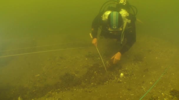 Sualtı Arkeolojik Araştırmaları Metal Sonda Kullanan Bir Bilim Adamı Kumlu — Stok video