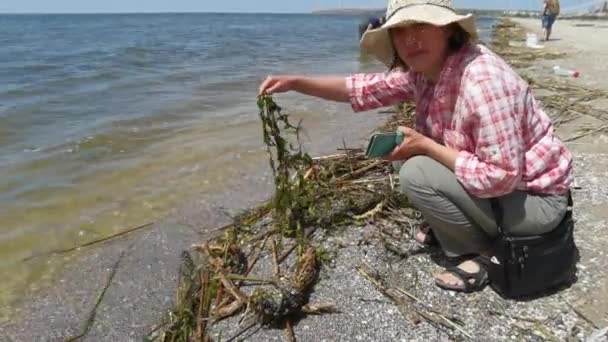 Молодая Женщина Исследователь Собирает Образцы Речных Водных Растений Берегу Моря — стоковое видео