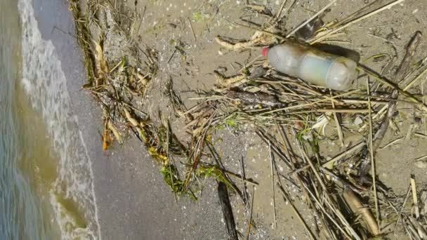Vídeo Vertical Plantas Detritos Plástico Realizados Dnieper Para Mar Durante — Vídeo de Stock