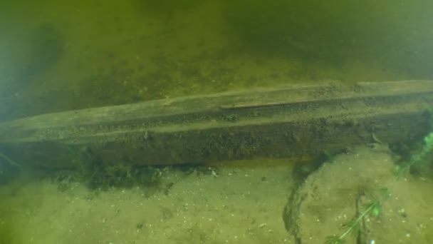 考古研究 照相机沿着乌克兰第聂伯河的一艘古代木制哥萨克船底部的木板缓慢移动 — 图库视频影像