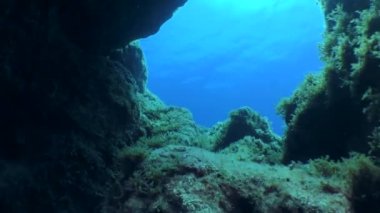 Kamera karanlık sualtı taş mağarasından açık denize çıkıyor..