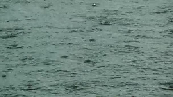 海面に降り立った雨 — ストック動画