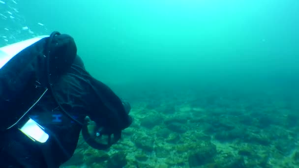 Odessa Ukraine Jan 2019 Potápěč Podmořským Skútrem Plave Přes Skalnaté — Stock video