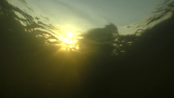 水中考古学的研究 カメラはゆっくりと太陽の光線を介して表面に上昇し 近くのボートとダイバーを示すために水の上に上昇します — ストック動画