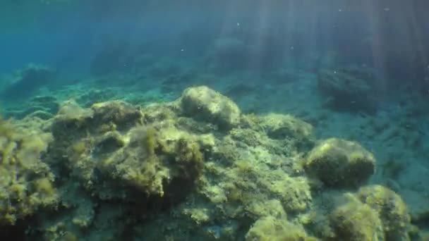 照相机通过倾斜的太阳光穿过浅水上方的水柱 — 图库视频影像