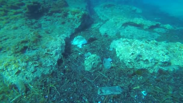 Plástico Mar Nas Fendas Das Rochas Ondas Mar Correntes Coletam — Vídeo de Stock