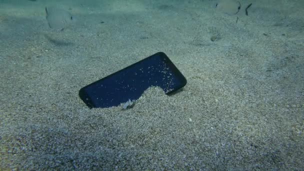 Ztracený Smartphone Písčitém Dně Vidět Několika Annular Mořské Ryby — Stock video