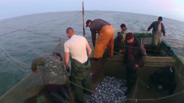 商业捕鱼 专业渔民将捕获的鱼从渔网装上船 动作缓慢 射速中等 — 图库视频影像